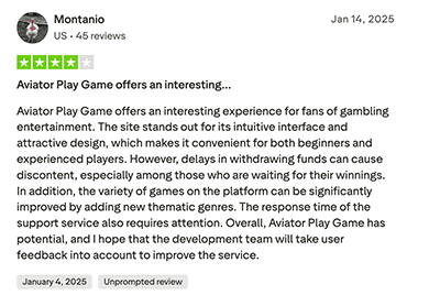 Aviator crash game player review example